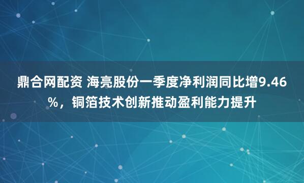 鼎合网配资 海亮股份一季度净利润同比增9.46%，铜箔技术创新推动盈利能力提升