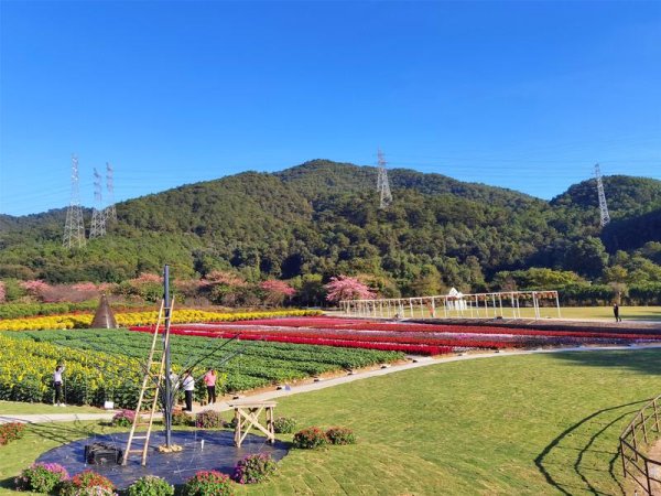 万通资本 佛山卡玛缤纷花世界的花景最大限度满足了都市人的情绪价值