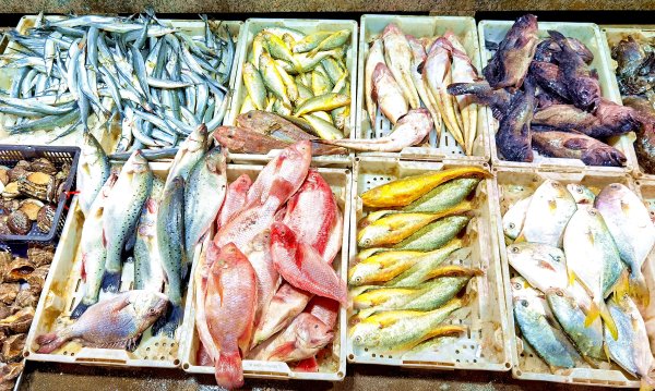 粤友优配 秋天吃鱼，建议大家：少吃草鱼和花鲢，多吃4种，肥美不腻又实惠